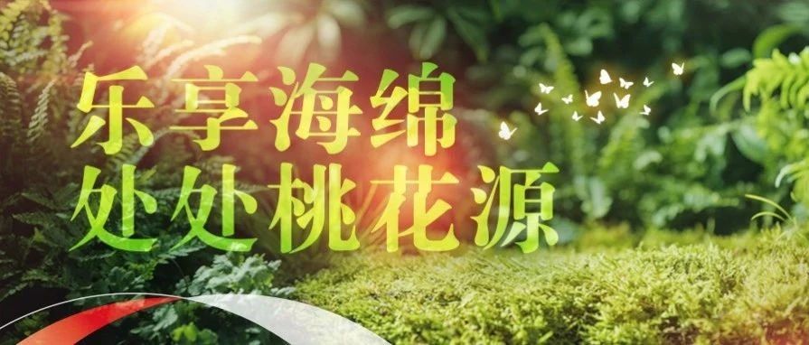 以专利技术守护城市“海绵”梦想