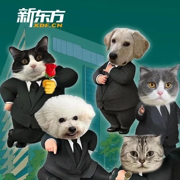 编辑部8月破事 | 上班的本质，就是不停地捅娄子