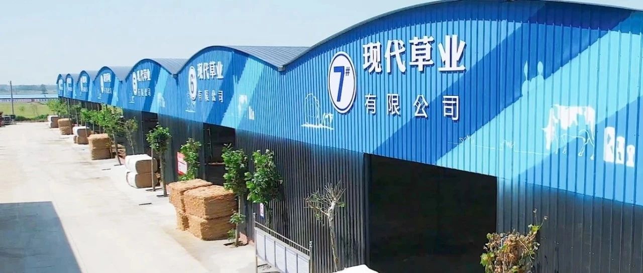 现代草业：秸秆“变废为奶”，为草业插上绿色生态翅膀