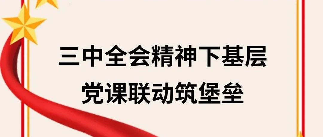 三中全会精神下基层，党课联动筑堡垒