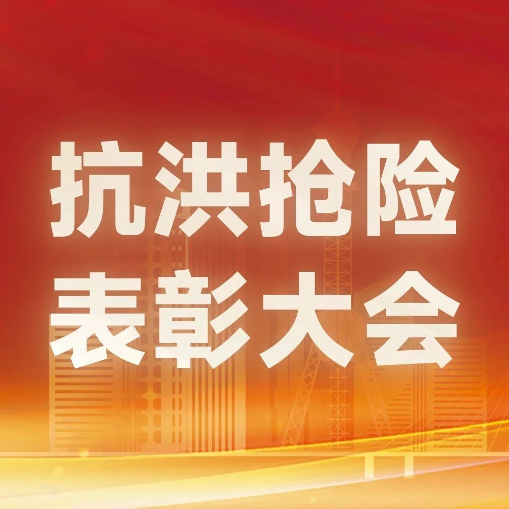 岳阳市华容县团洲垸抗洪抢险售后保障表彰大会