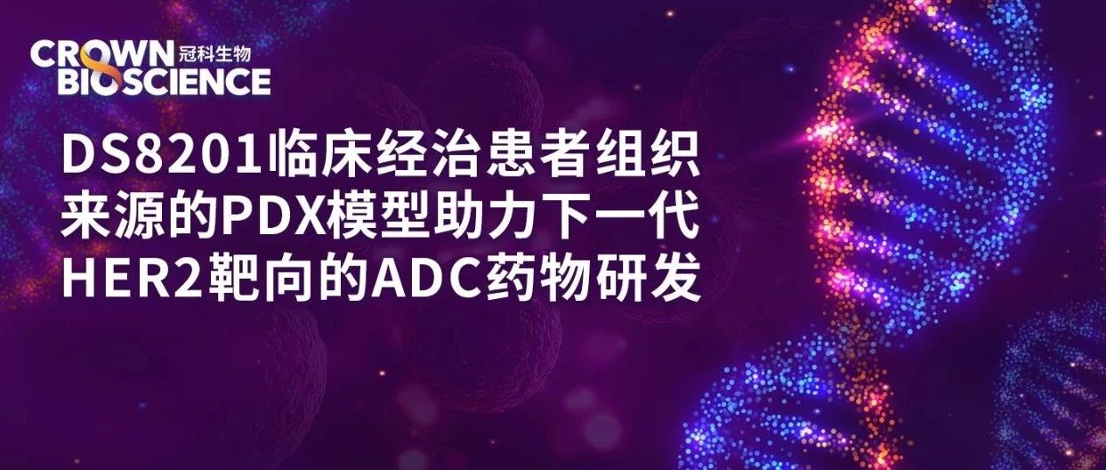 科学博文 | DS8201临床经治患者组织来源的PDX模型助力下一代HER2靶向的ADC药物研发