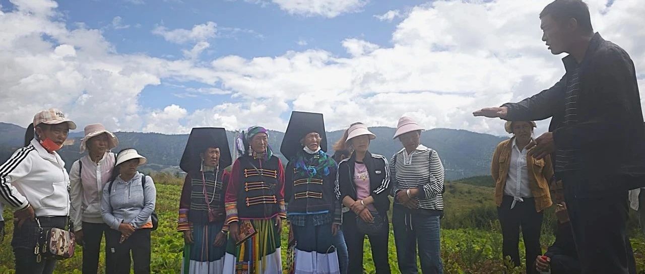 智启非凡｜让彝族阿妈在山村药园里播种希望