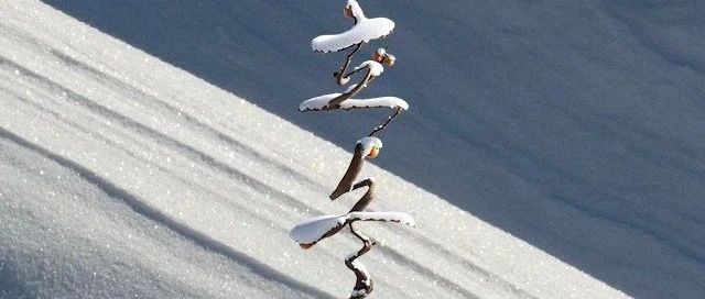 立足裂缝，不惧严寒！