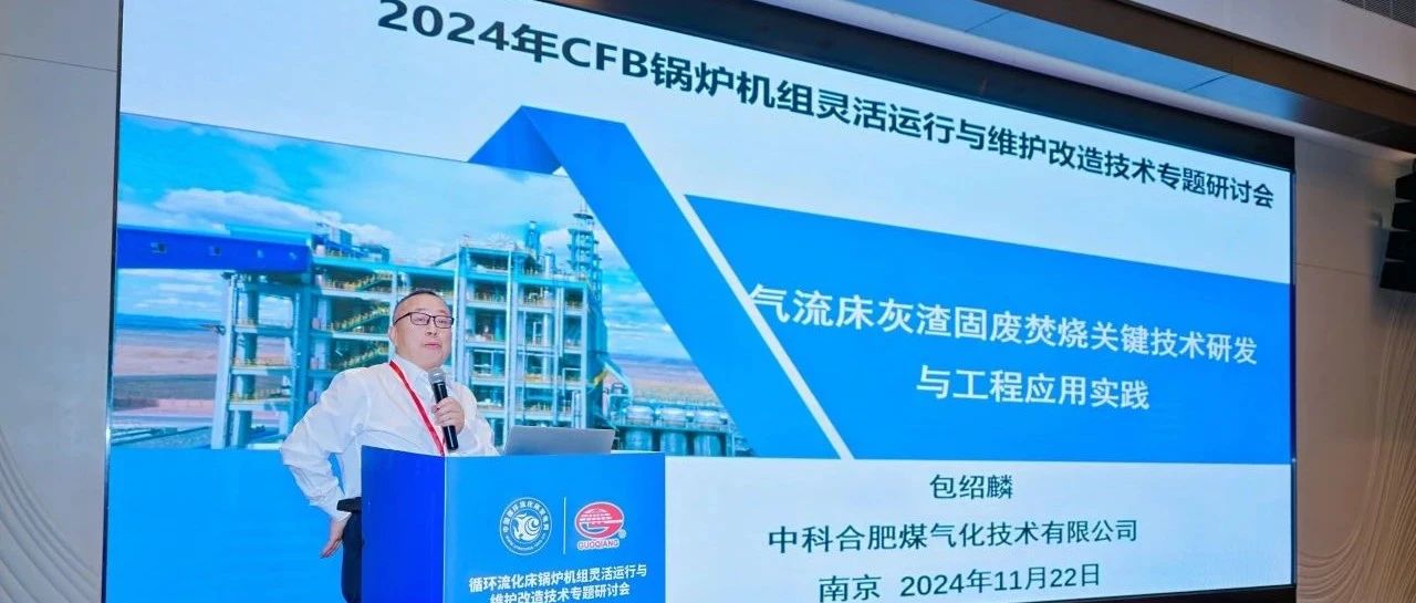 2024年CFB锅炉技术盛会——聚焦环保与技术创新，推动行业新发展