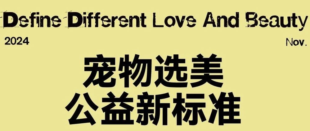 和搜救犬、疗愈犬、实验犬交朋友！来阿那亚参与宠物公益选美，“定义不一样的爱与美”