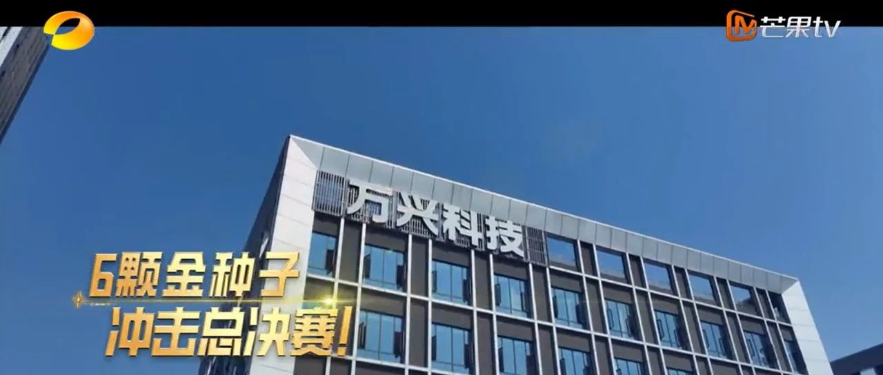 湖南卫视《夺金2025》口碑持续走高 万兴科技携手赋能大学生创新创业