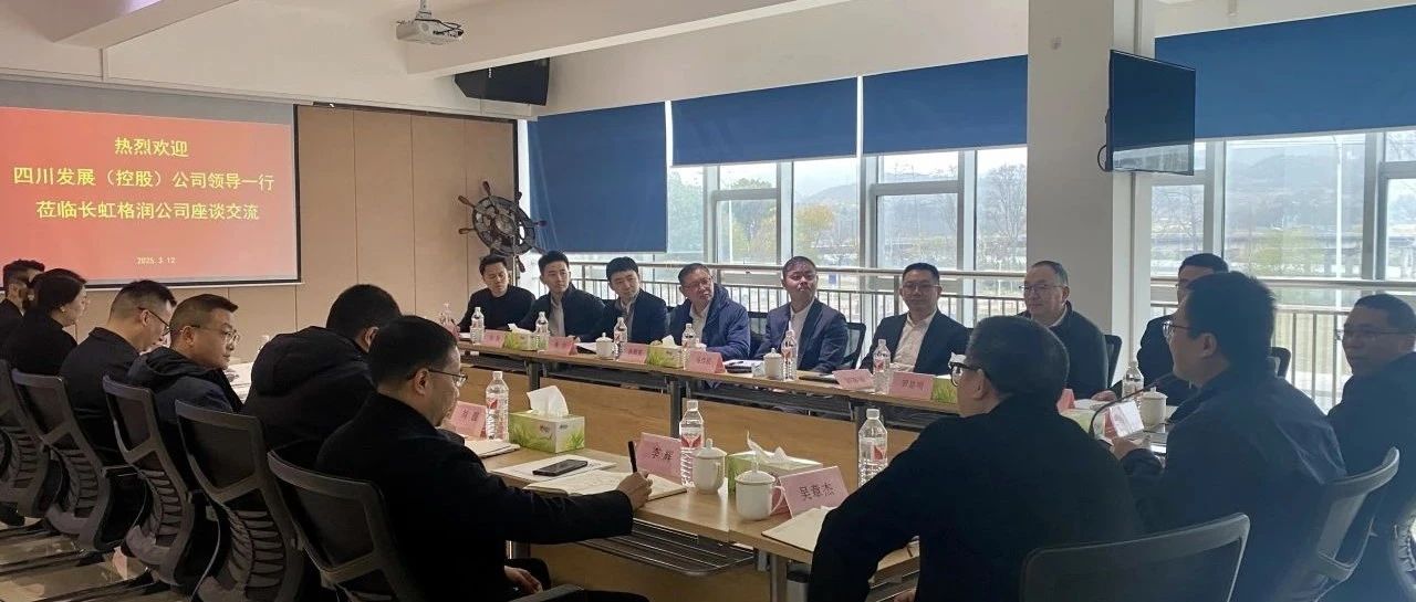 四川发展（控股）有限责任公司副总经理毛飞一行莅临长虹格润座谈交流