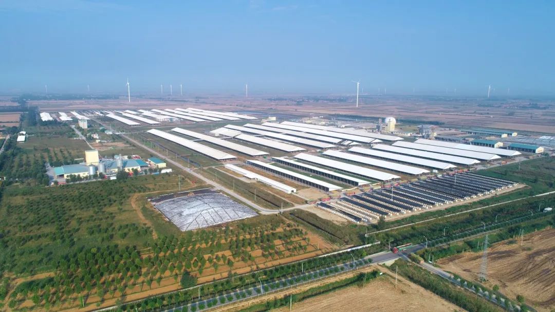 DJI_00019.JPG