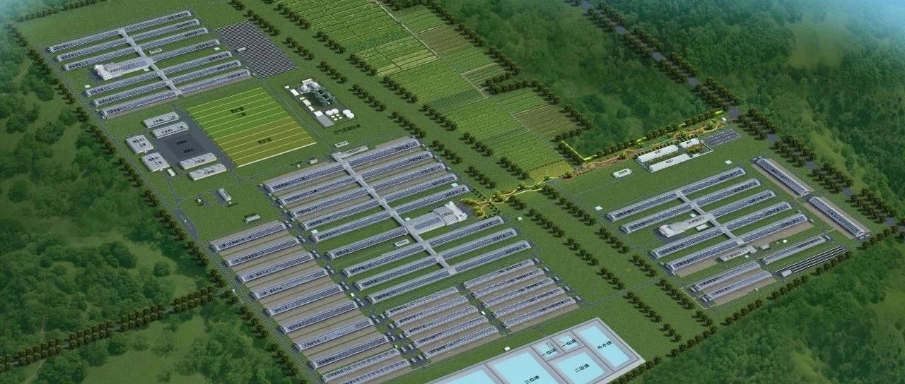 河北省政协副主席康彦民一行调研优然牧业献县牧场