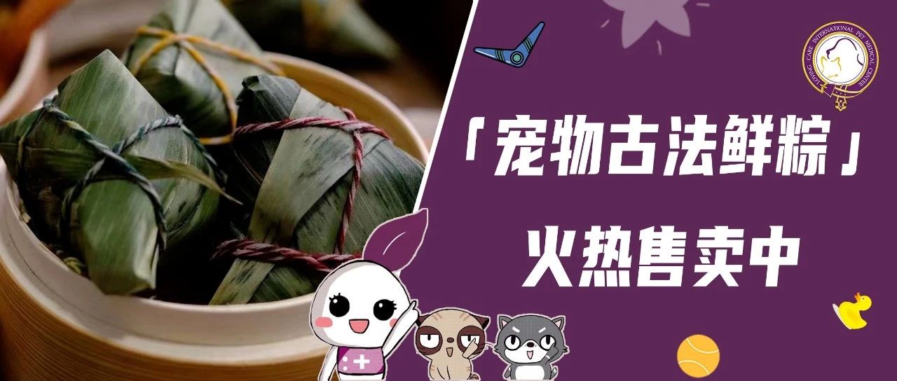 毛孩专属端午鲜粽限量开抢！快来一起把爱意“包”进美味里～