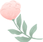 4933293c6a409237bb0c009e1df5e6c8.png