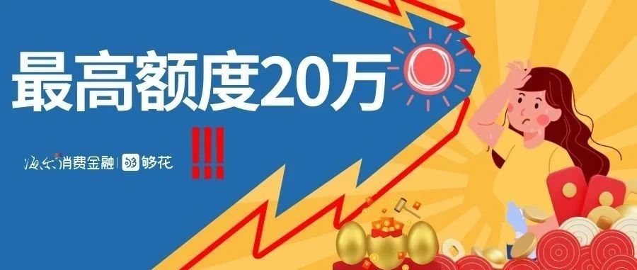 ¥20000.00 热热热！再不来领额度都化了~